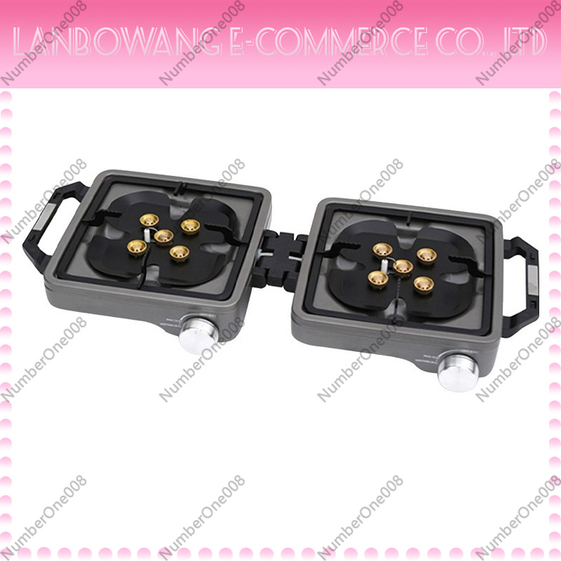 Outdoor Dual Burner High Power - Camping Cooking Equipment 评论和价格