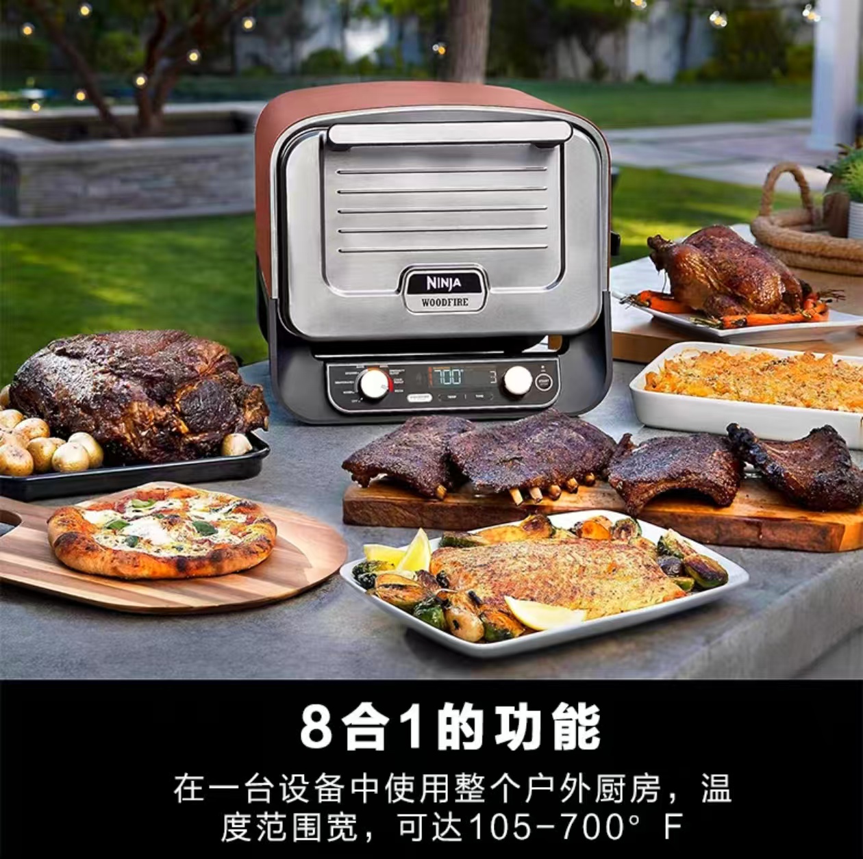 2026 Outdoor Pizza Oven for El - Camping Cooking Electric 评论和价格